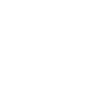 Icon: Vision